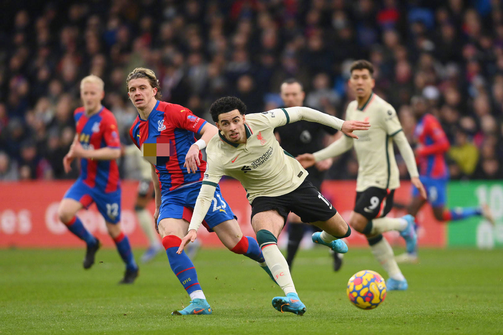 比萨度假 比萨度假